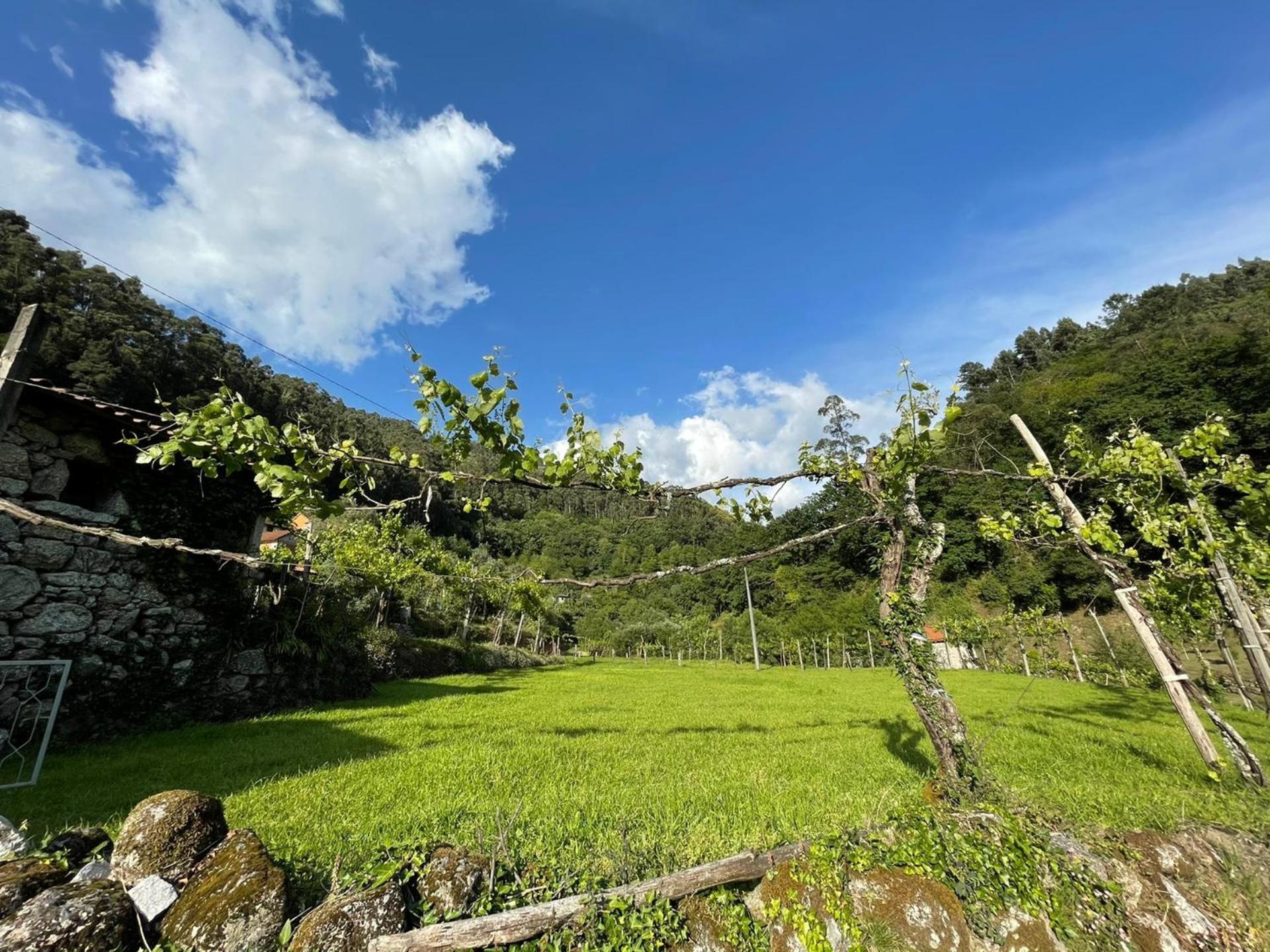 Vila Casa Museu Lagar De Azeite Terras de Bouro Exteriér fotografie